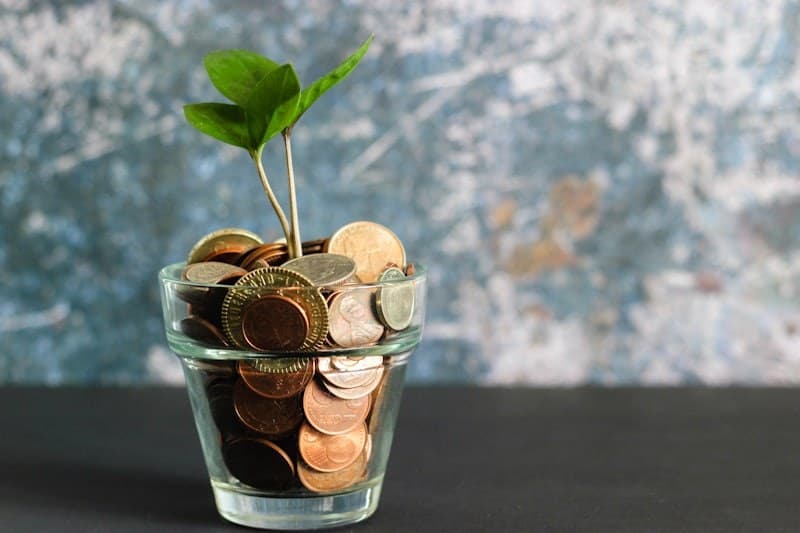 Croissance financière